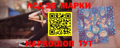 гидропоника Жуковский