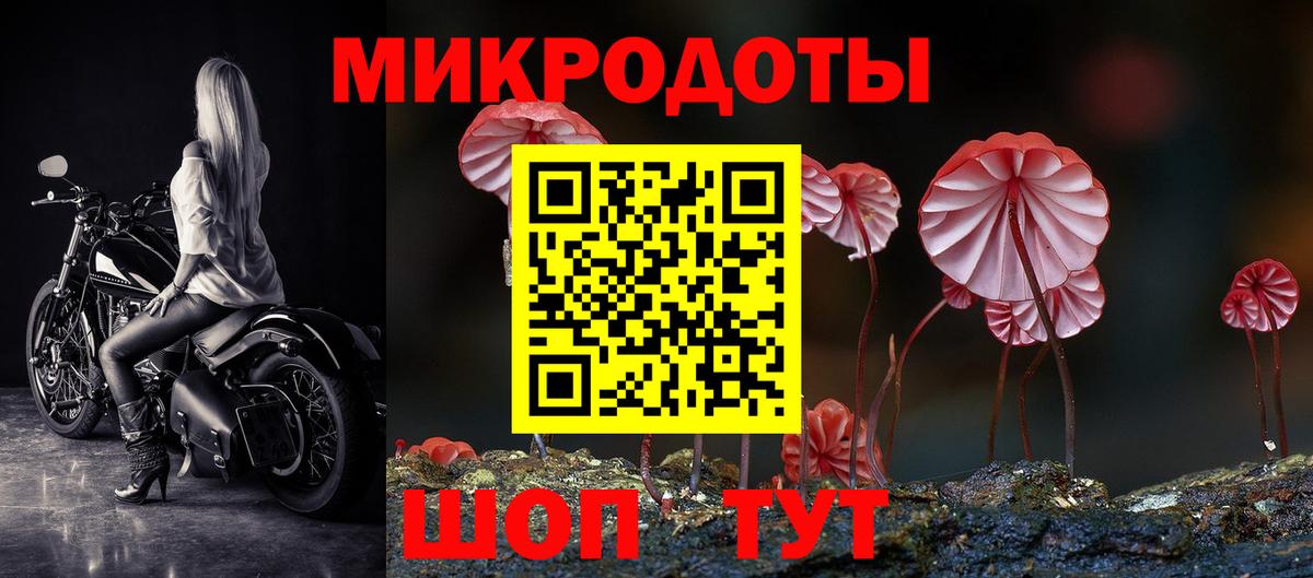 Минусинск  хочу   Вход с VPN  Галлюциногенные грибы GOLDEN TEACHER 