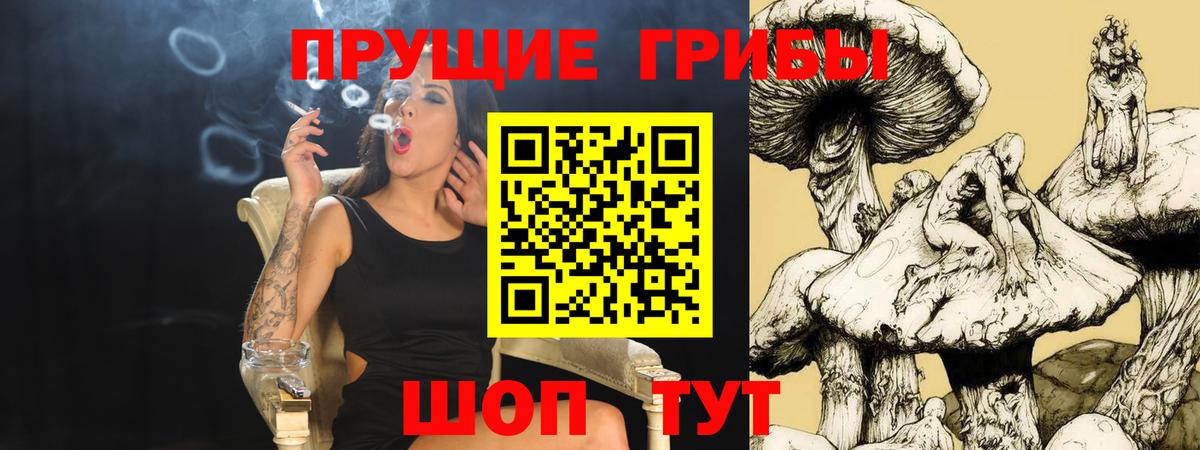 Псилоцибиновые грибы мицелий Минусинск